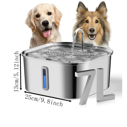 80% of Dogs Don't Drink Enough Water Every Day Which Can Lead to Crystals and Urinary Problems